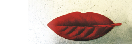 Regula Staempfli & Kurzform laStaempfli banner