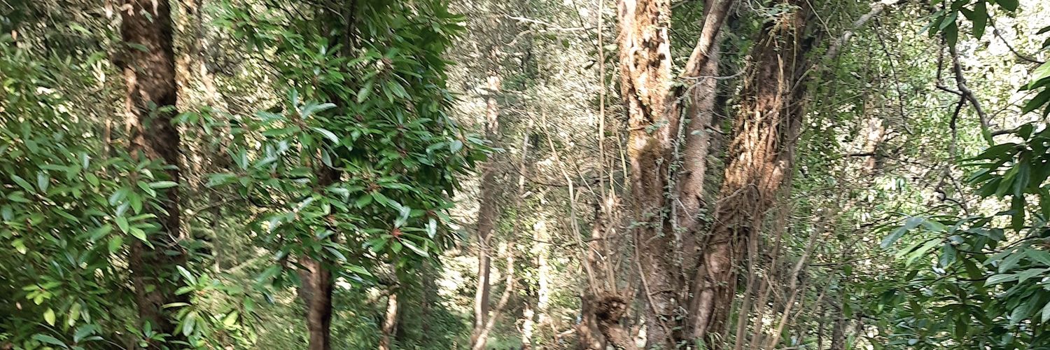 vijooiyer's profile banner image