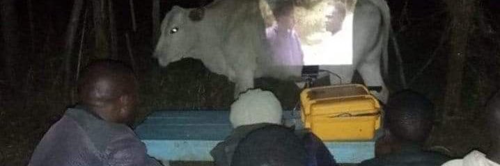 Âme-Doux-Lilas 🇫🇷 #55 banner