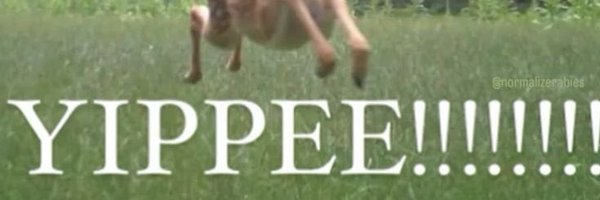 finnfromsw Profile Banner