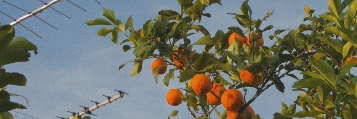 af_castro's profile banner image