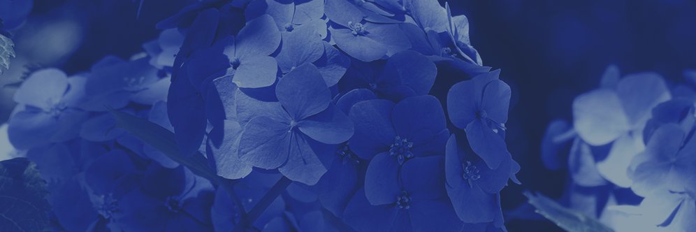 404Eules's profile banner image