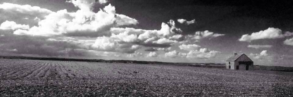 Melle_Luce's profile banner image