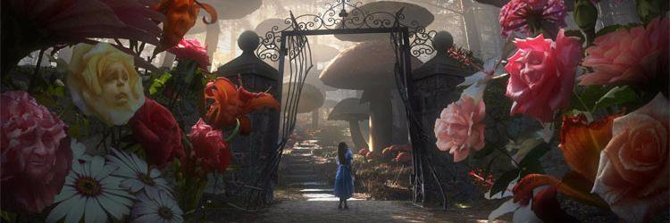 Li087Elsa's profile banner image
