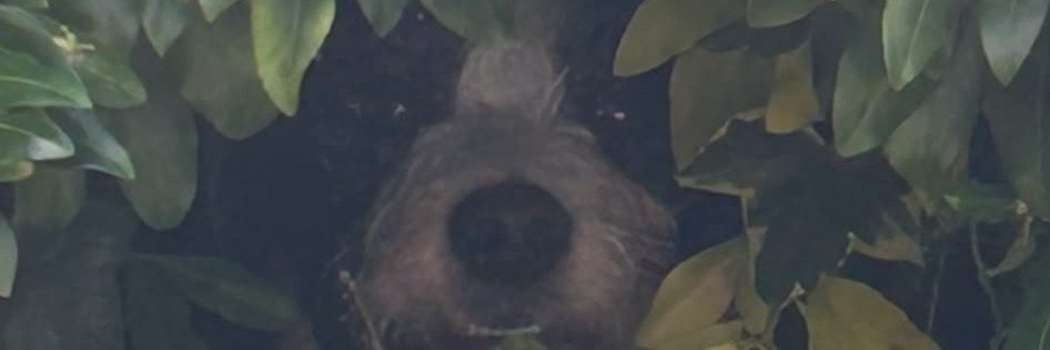 NikkdeppNikki's profile banner image