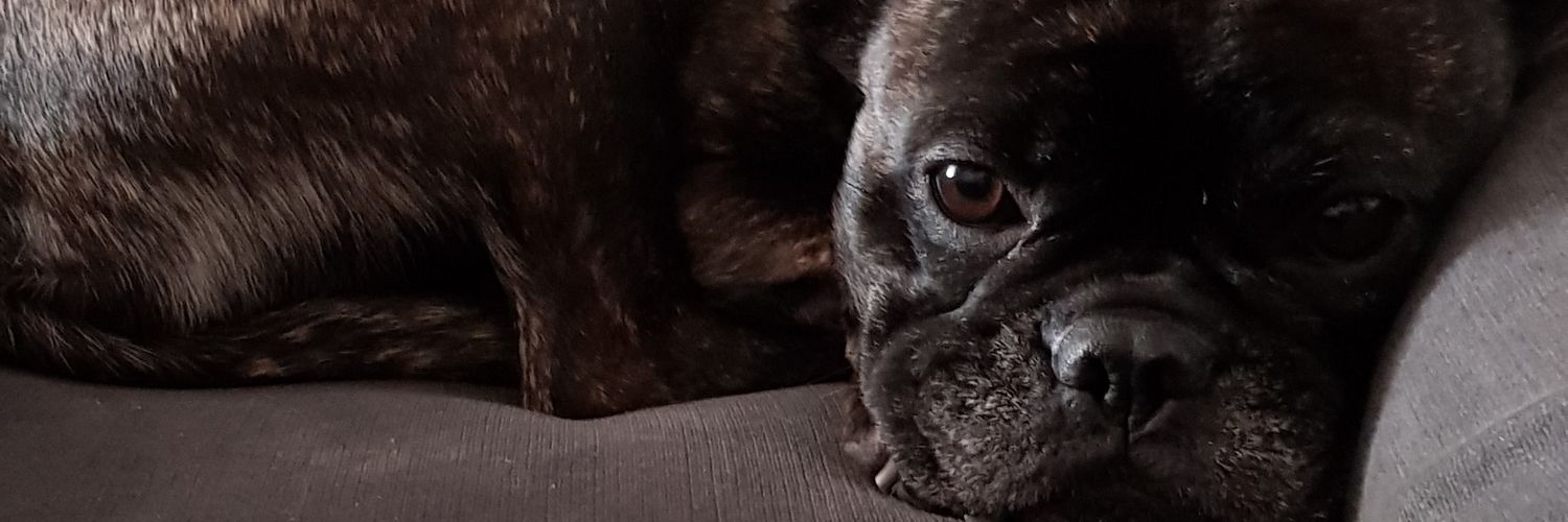 superdawesy's profile banner image