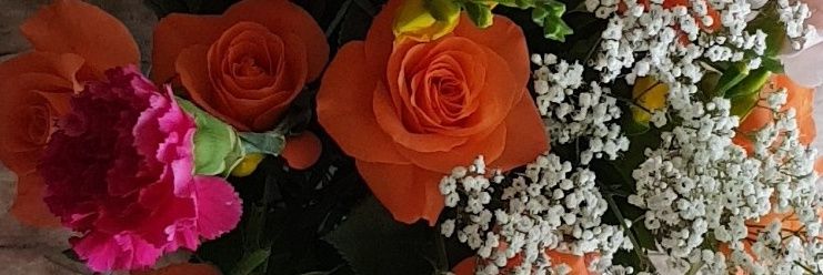 iolamair's profile banner image