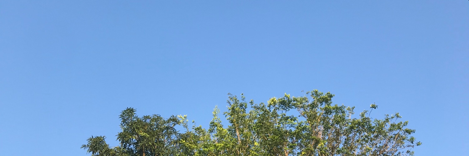 nikeeari's profile banner image