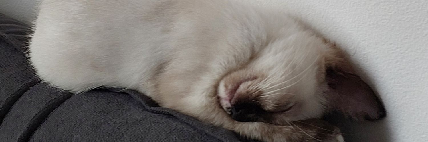 rafsentevil's profile banner image