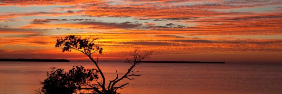 6fla9beach's profile banner image