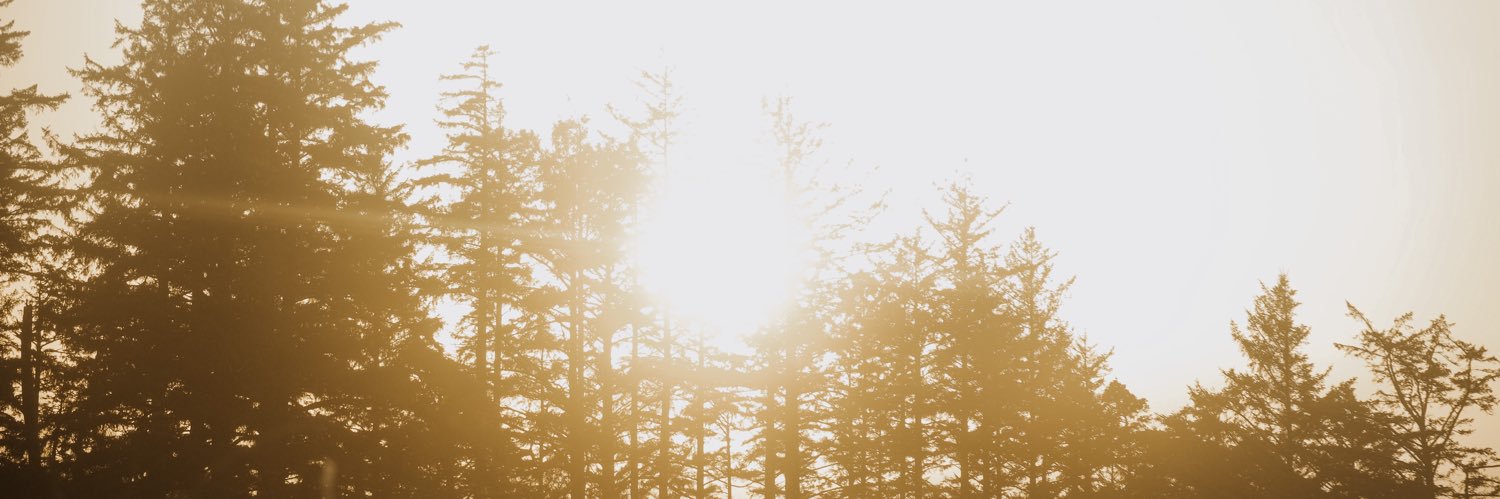 paigebechtle's profile banner image