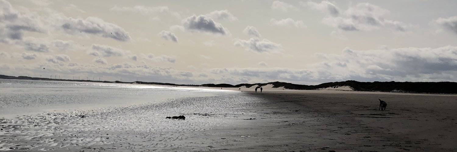 AmyUrwins's profile banner image