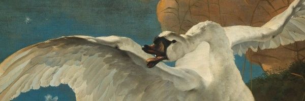 PhRuijs's profile banner image