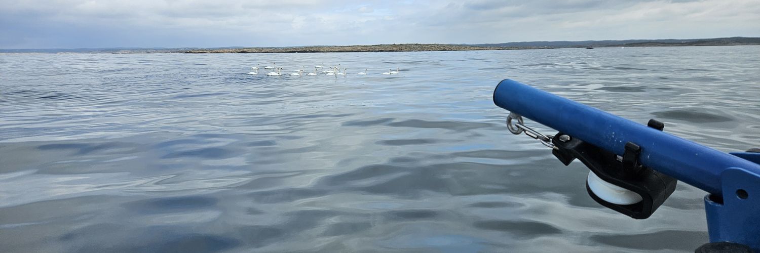 JohnGrunberg's profile banner image
