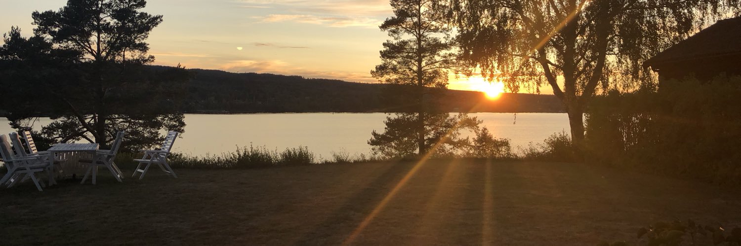 sandralarssson's profile banner image