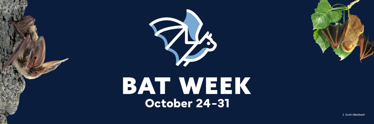 Bat Week banner