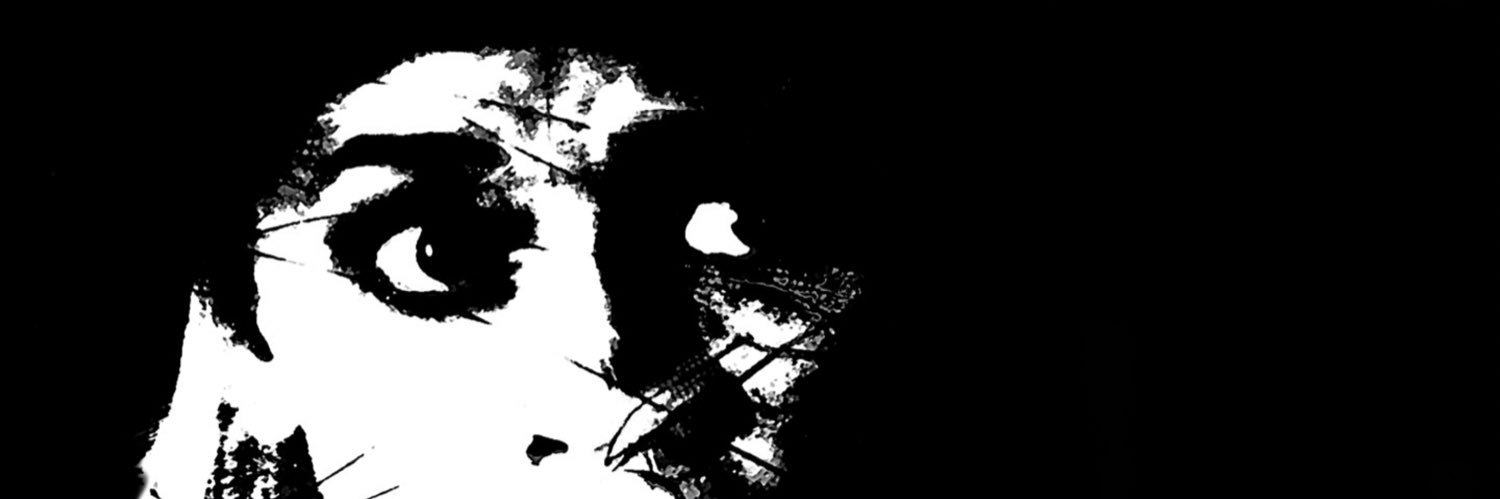 Slurpiz's profile banner image