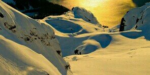 diviemalunga's profile banner image