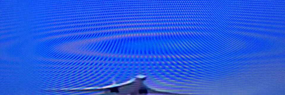 Ygoropet's profile banner image
