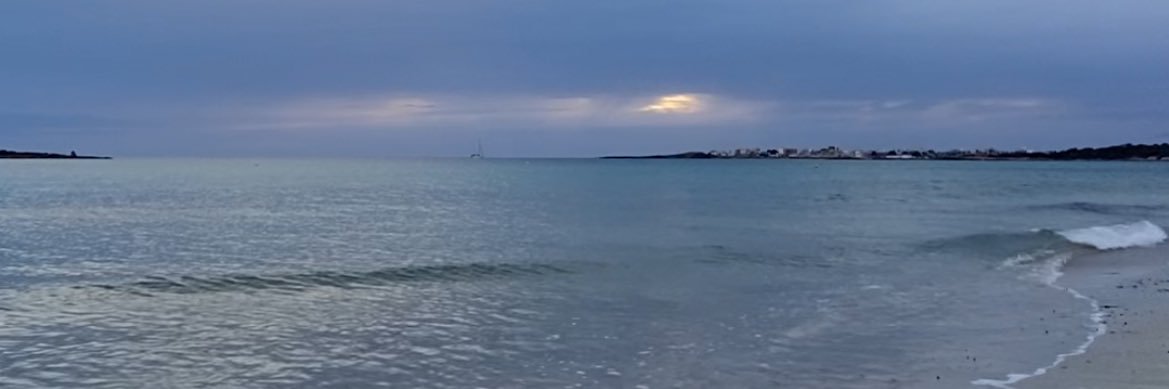 Estíbaliz 🐰 banner