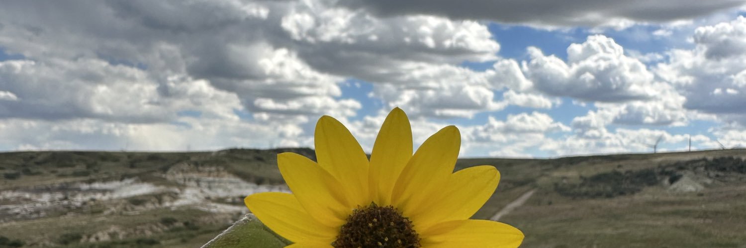 jaaewhitlock's profile banner image