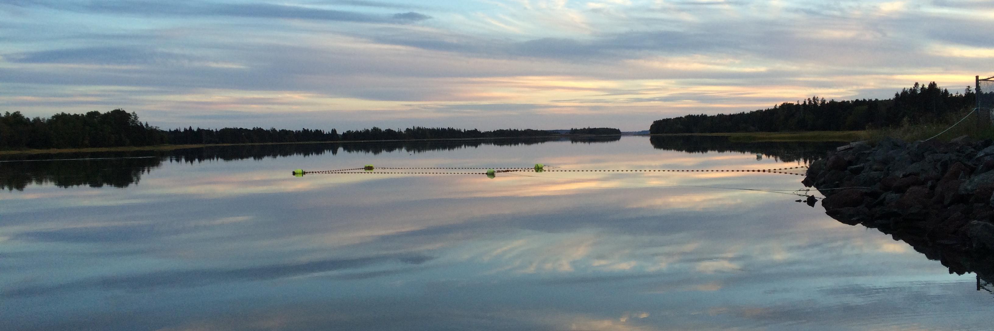 PEI_Water's profile banner image