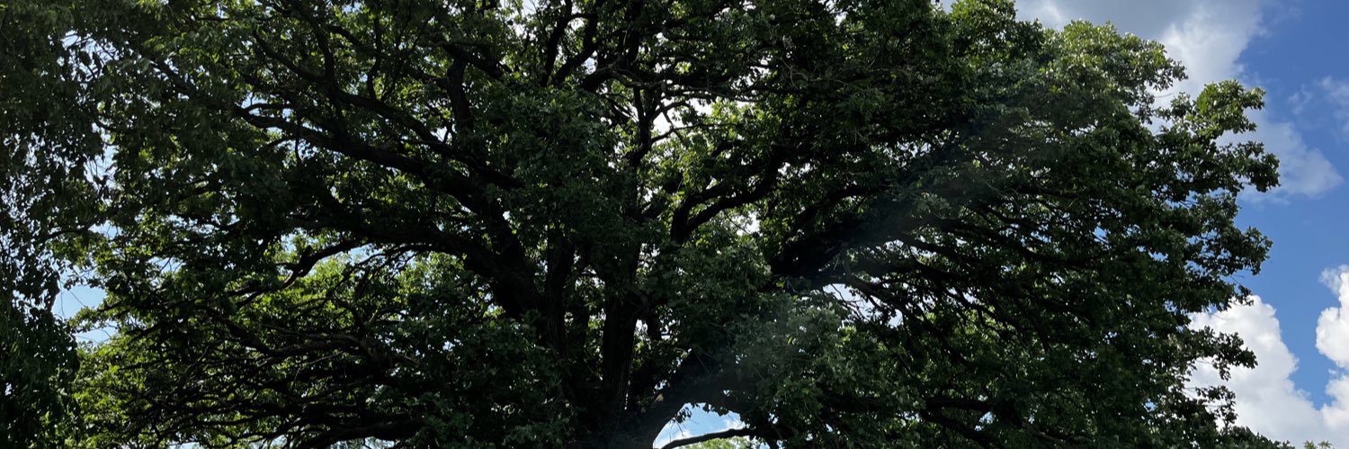 SBerg74's profile banner image