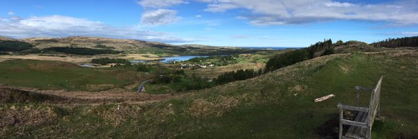 Scotty875 Profile Banner