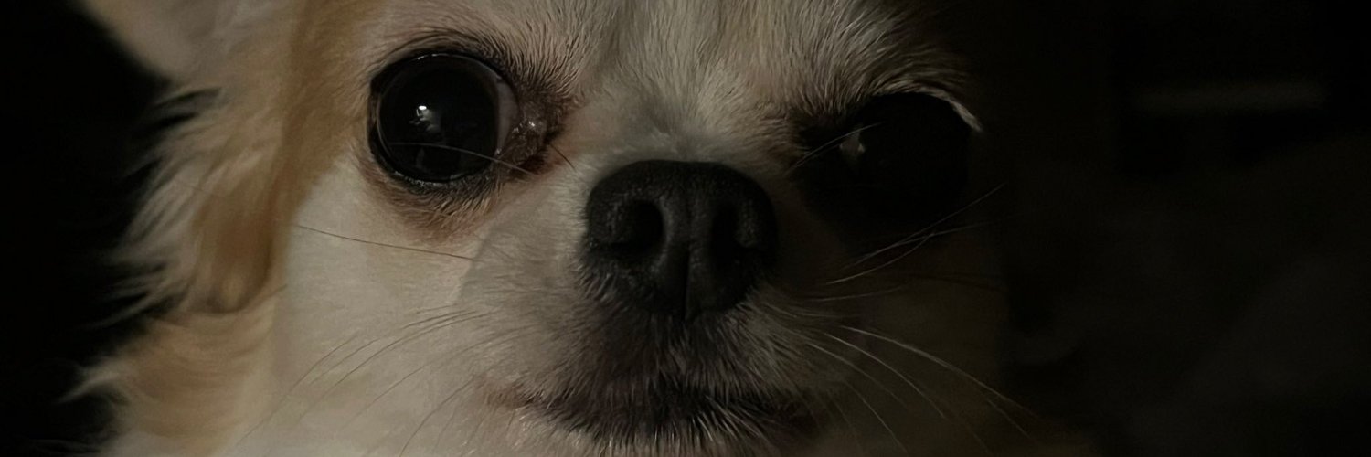 TheDeadWave 🟢 banner