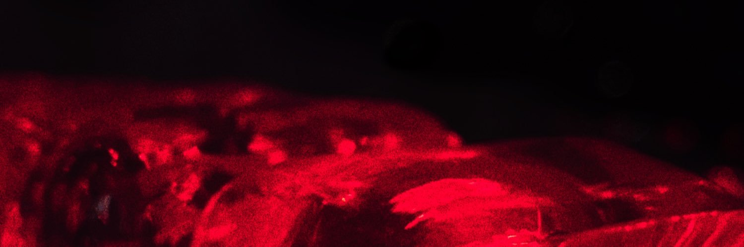 anythingastrid's profile banner image