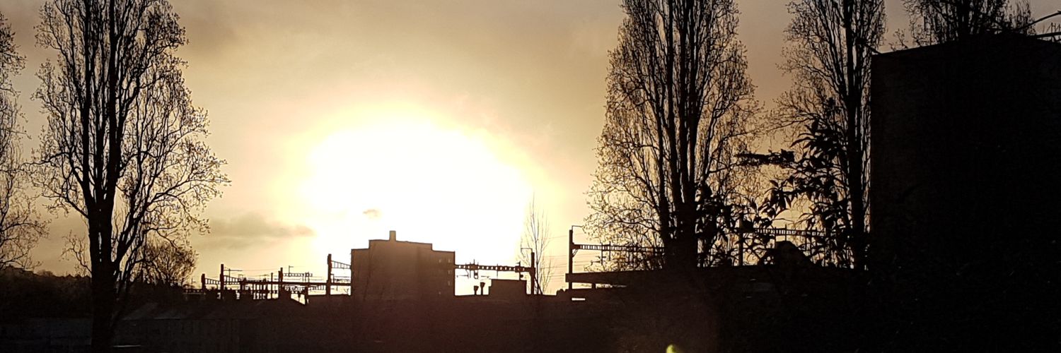 ncsecker's profile banner image