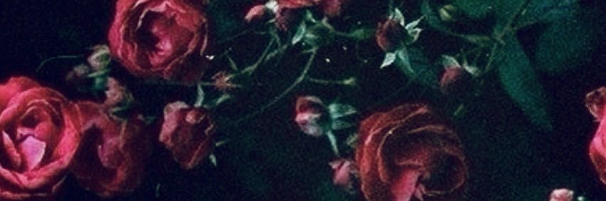 MeganMatovich's profile banner image