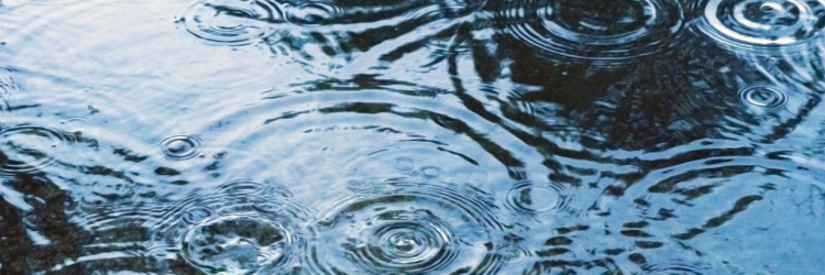 msm_rain's profile banner image