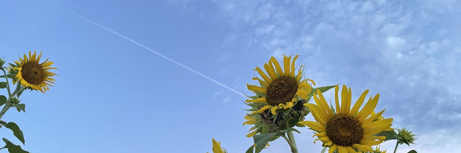 bip00l's profile banner image