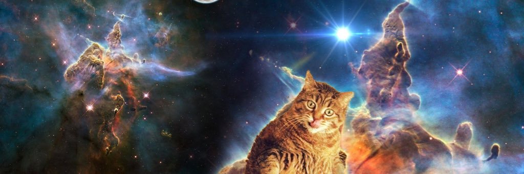 Random User banner