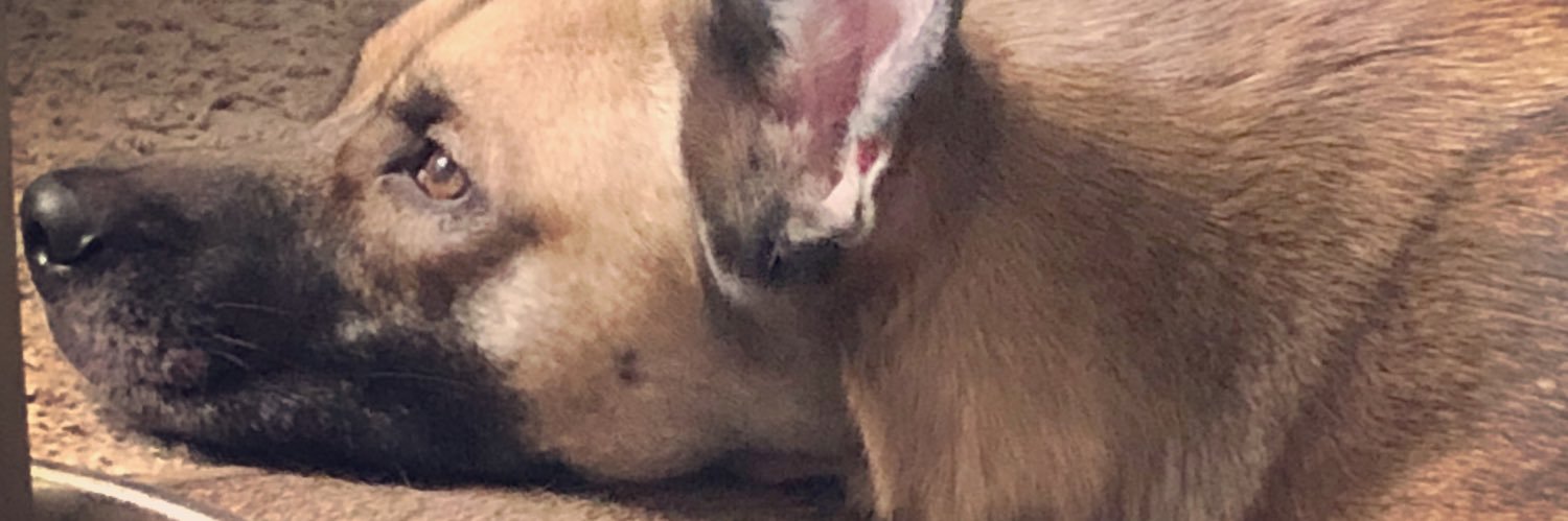 Simone_Acts's profile banner image