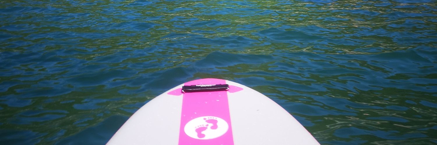 Sophie Maynard banner