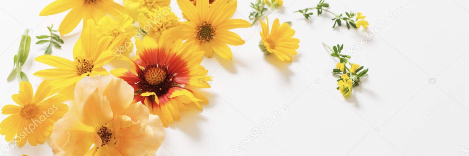 abbiemichaela's profile banner image