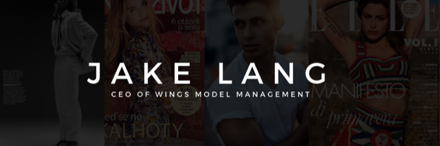 WingsModels1's profile banner image