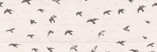 JakeFather's profile banner image