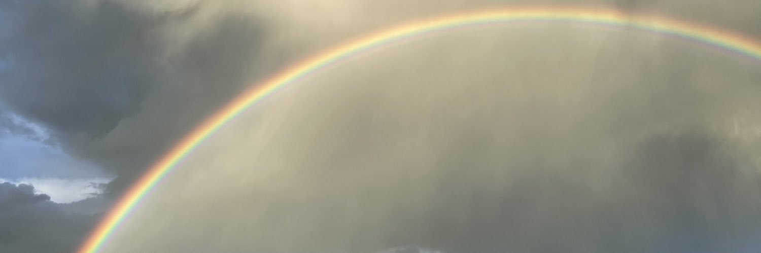 sarabevans's profile banner image
