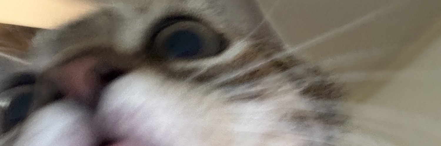 ladylowe's profile banner image