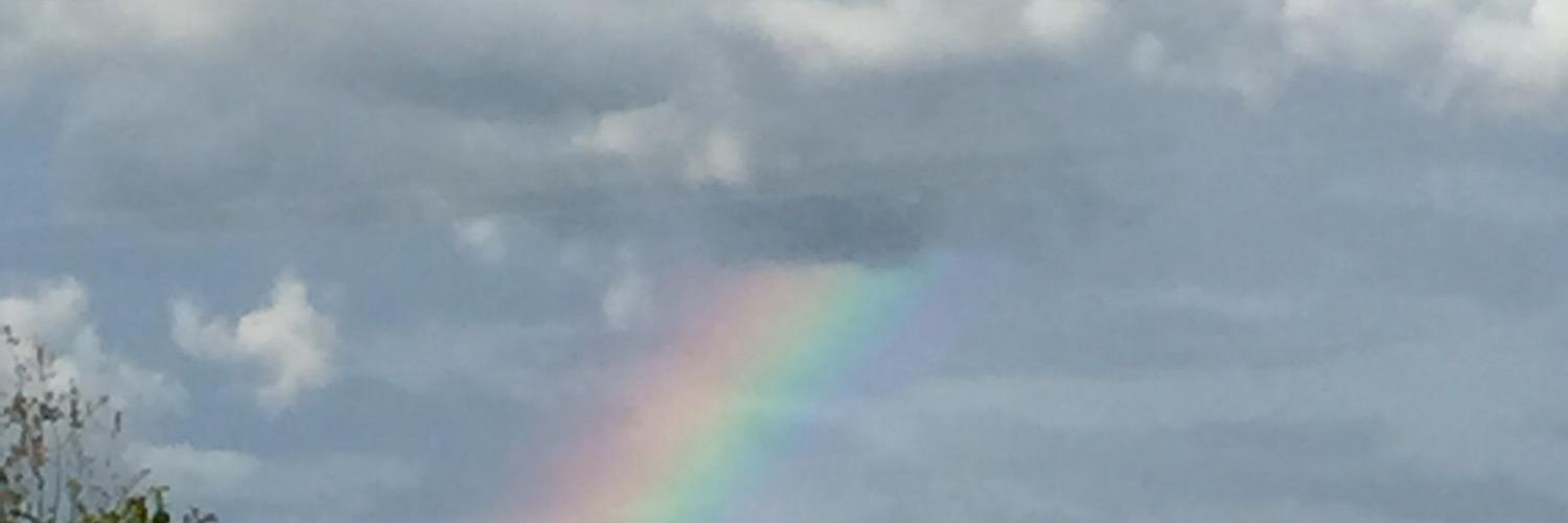 ambermCJHS's profile banner image