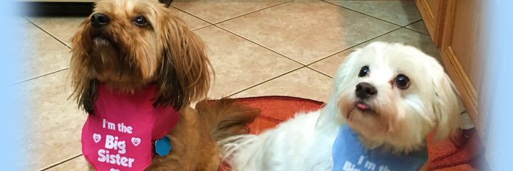 gfletchh's profile banner image