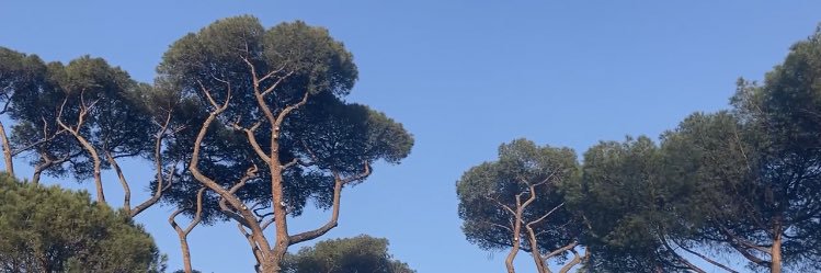 bahar_1505's profile banner image