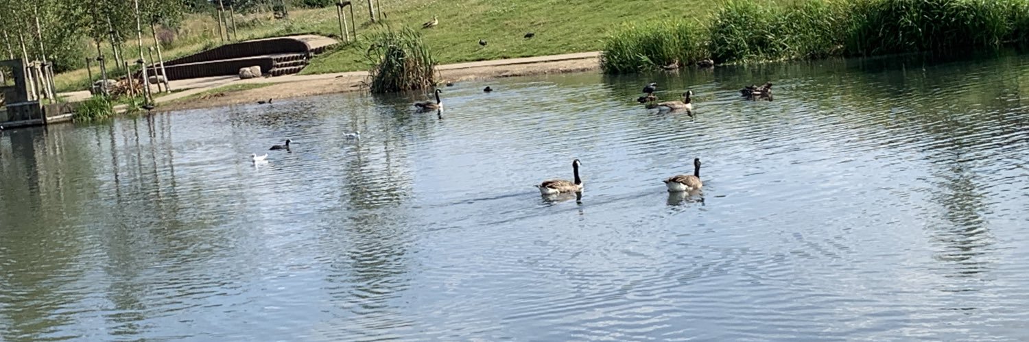 Peter Fallart banner