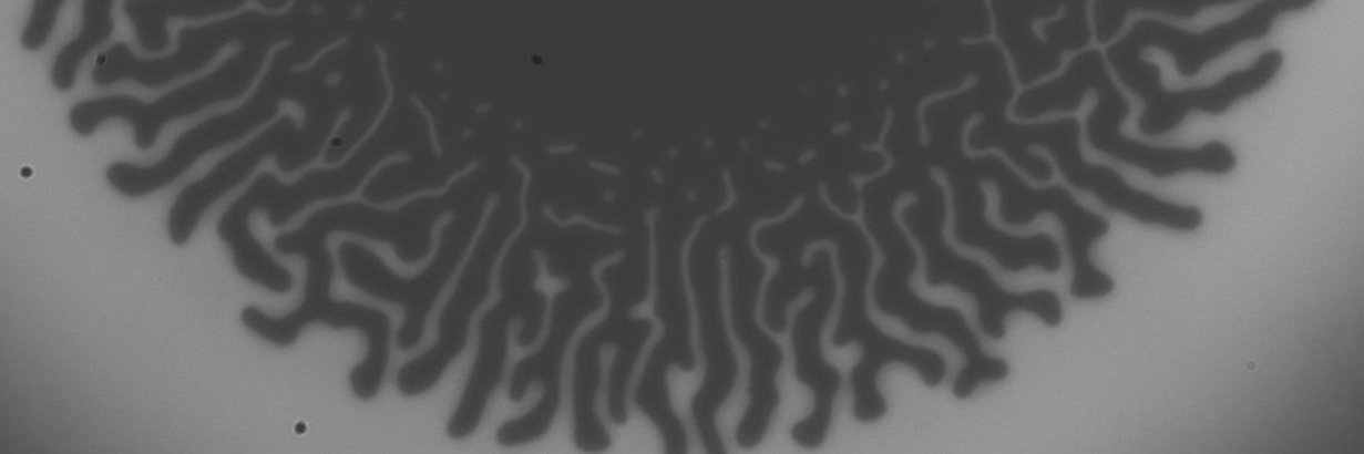 BenDavisPurcell's profile banner image