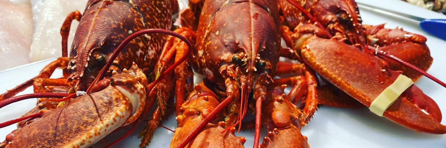 Roberts of Dalkey banner