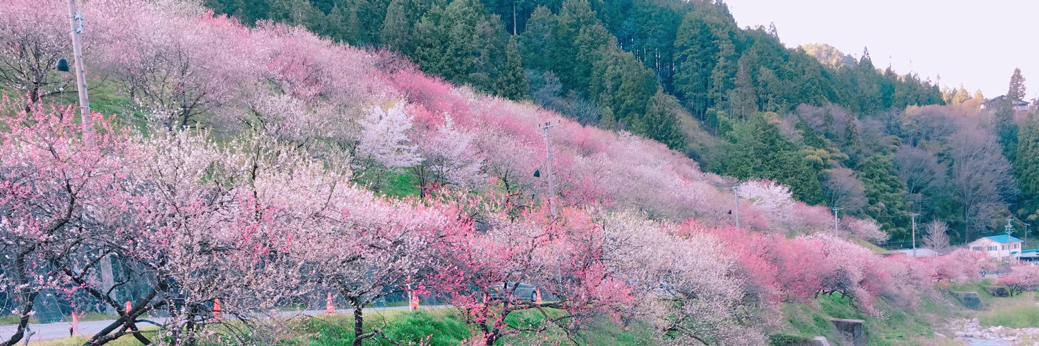 don_kishimi's profile banner image