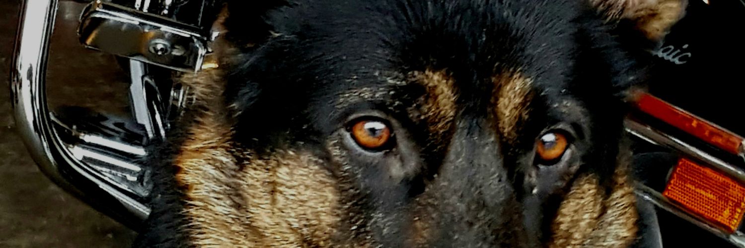 Porter4773's profile banner image